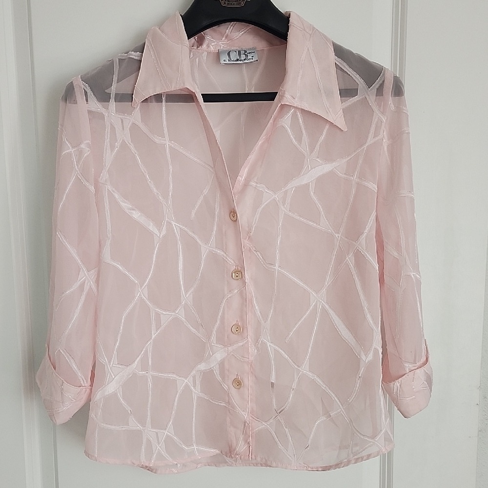 C.B. Collections Petite Chic Sheer Pink Button Down Shirt - Picture 2 of 7